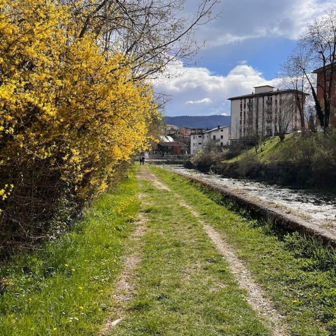 Conveniente, Tranquilla E Accogliente Con Park Villa Belluno Luaran gambar