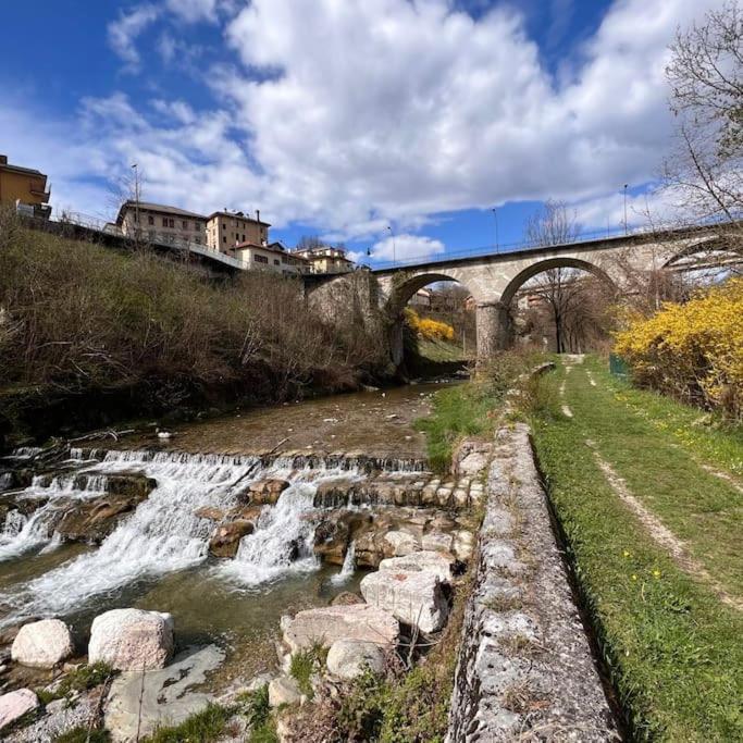 Conveniente, Tranquilla E Accogliente Con Park Villa Belluno Luaran gambar